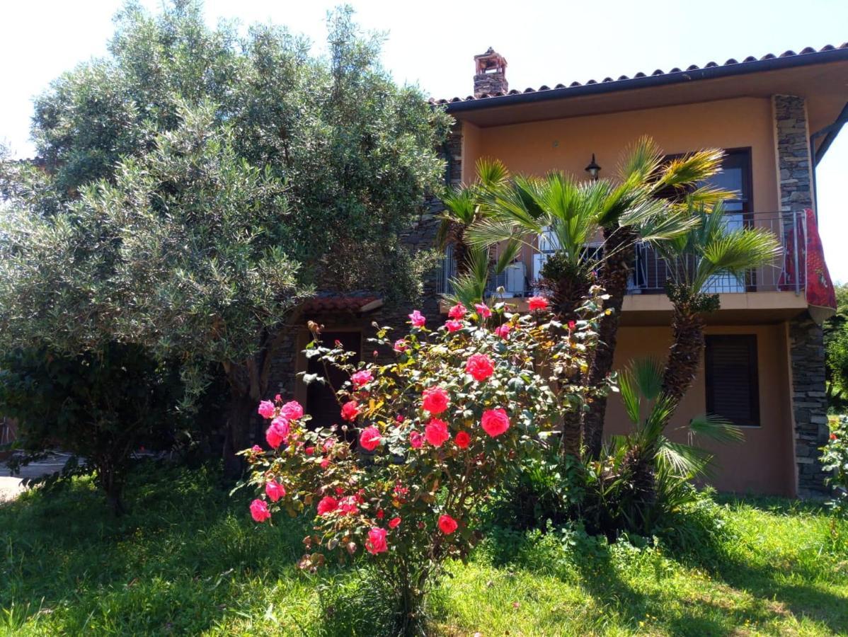 Viliam B&B Olbia Exterior foto