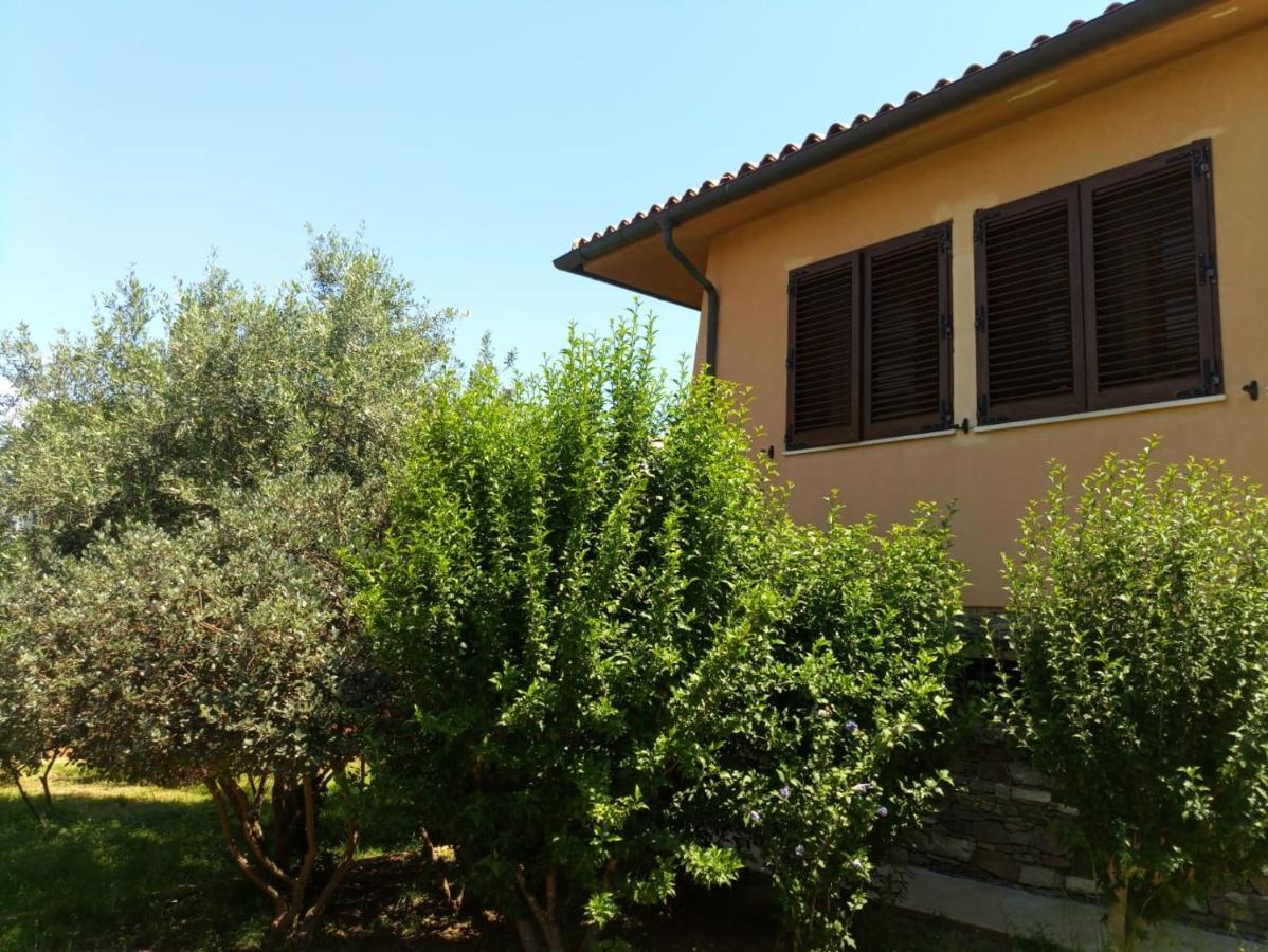 Viliam B&B Olbia Exterior foto